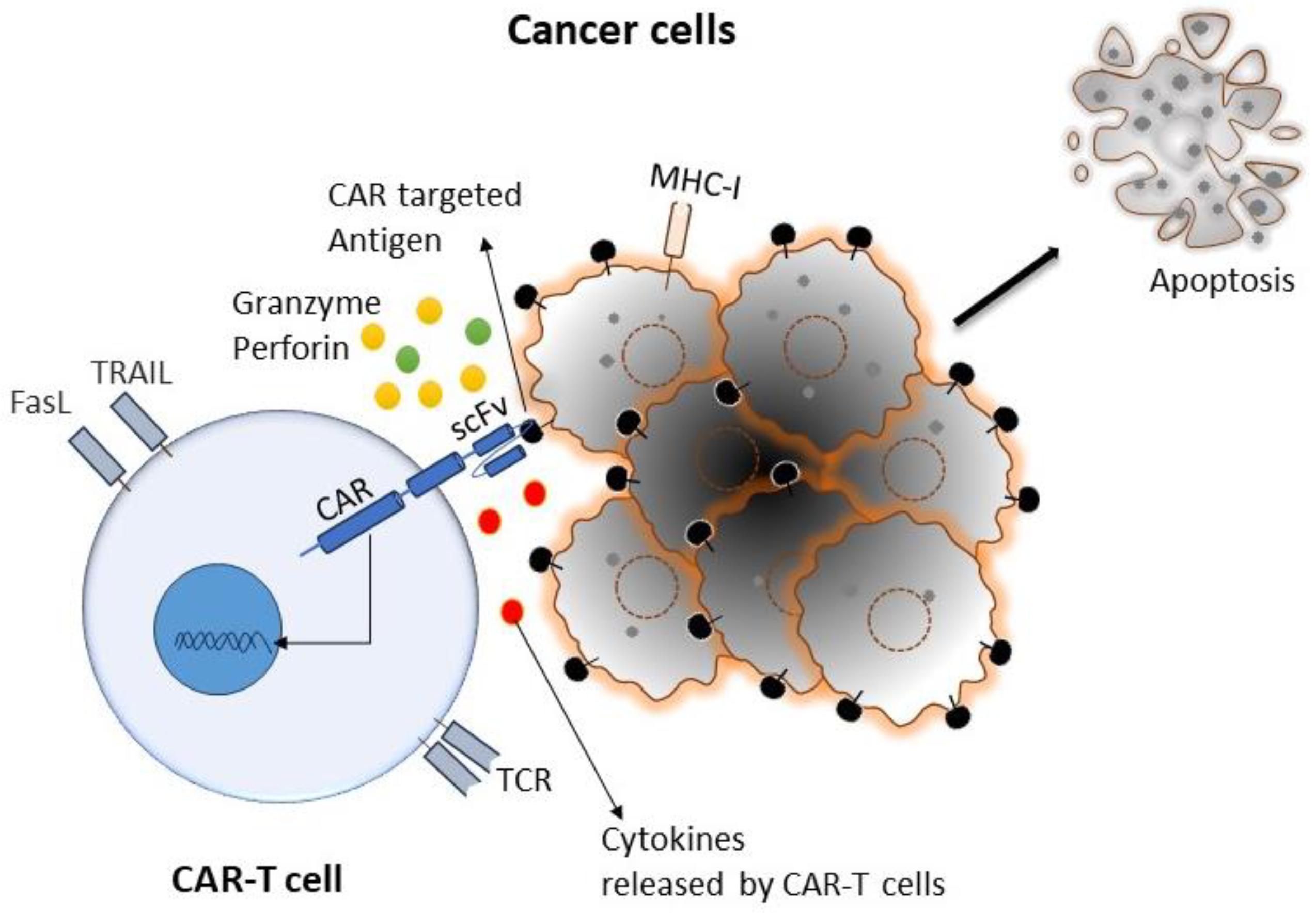 Evolving CAR-T-Cell <b>Therapy</b> for Cancer <b>Treatment</b>: From Scientific ...