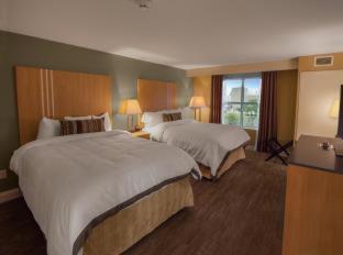Executive Queen Room,511278669:JPEG