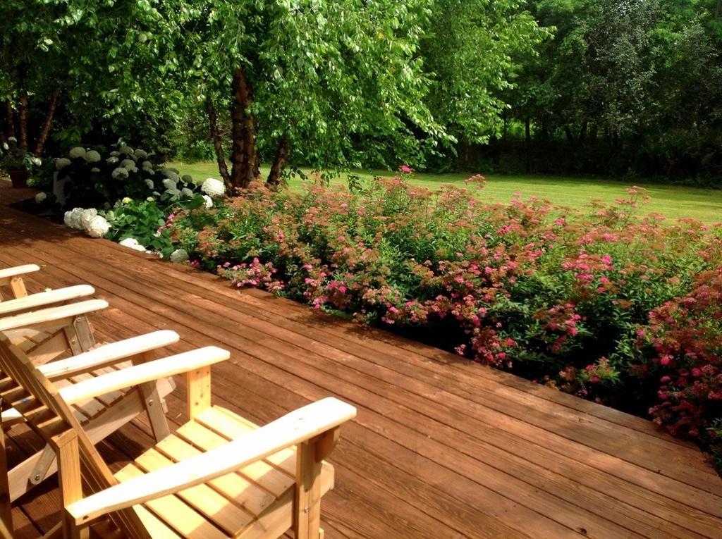 Standard King Room,119792865:JPEG