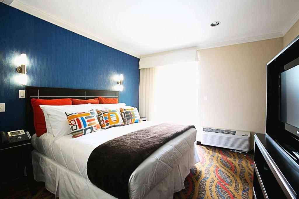 Standard King Room,951291469:JPEG