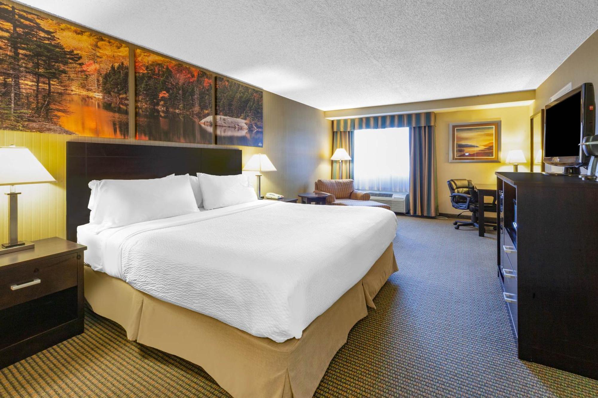 King Room - Non-Smoking,1214376295:JPEG