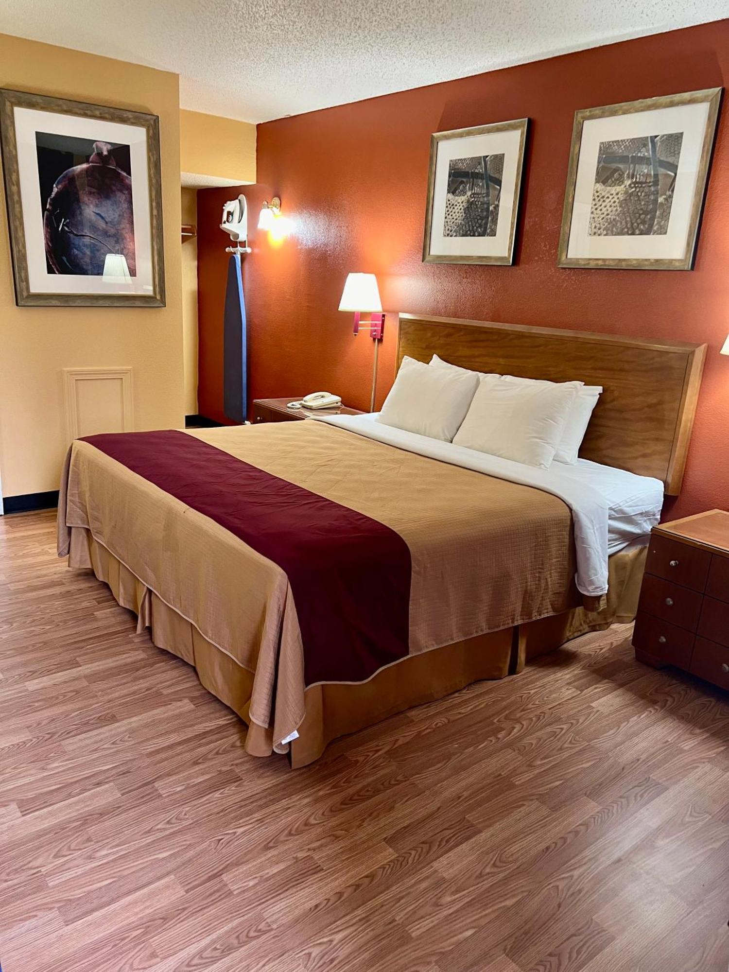 Single Room,1706347311:JPEG