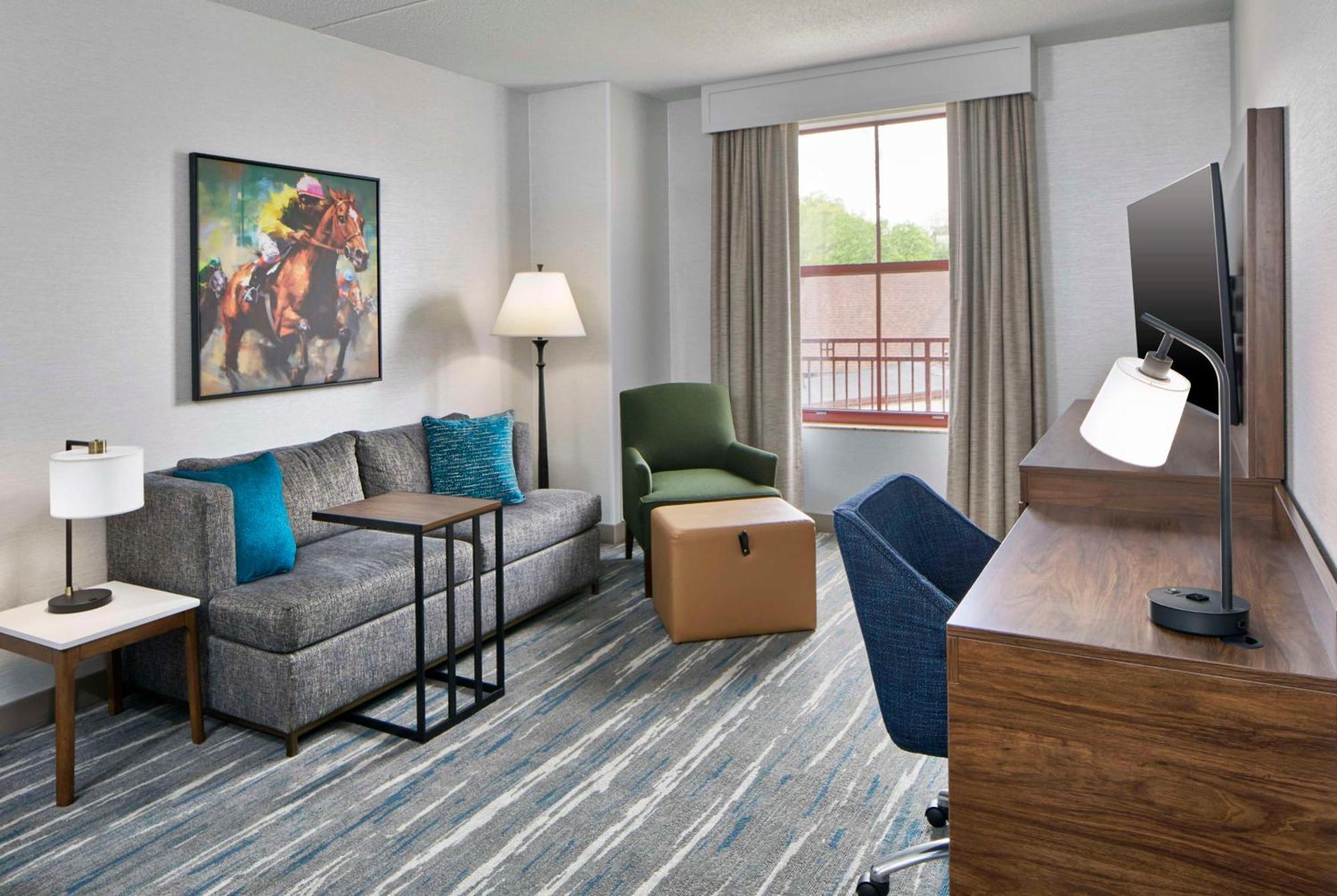 Deluxe King Suite with Sofa Bed,1597551250:JPEG