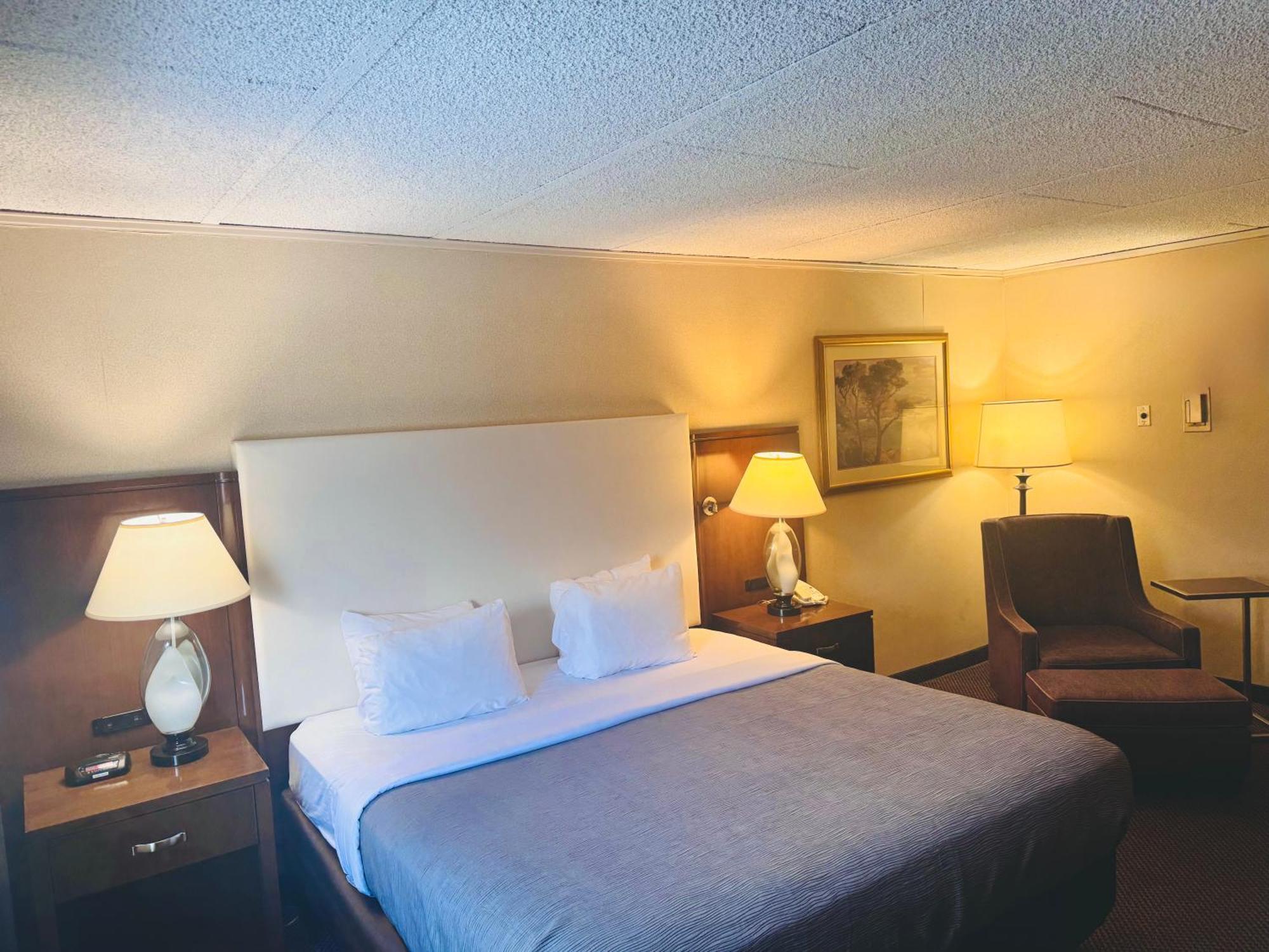 King Room - Non-Smoking