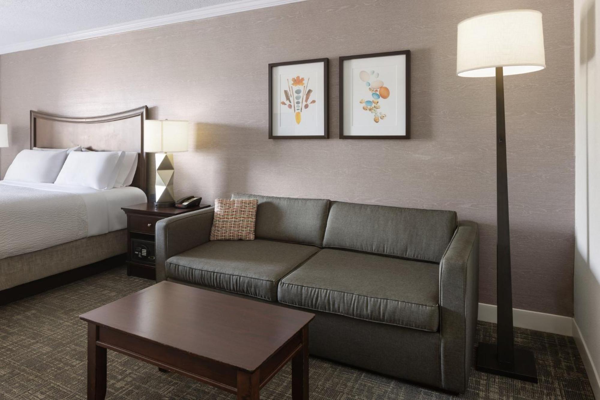 Standard King Room Sofa Bed