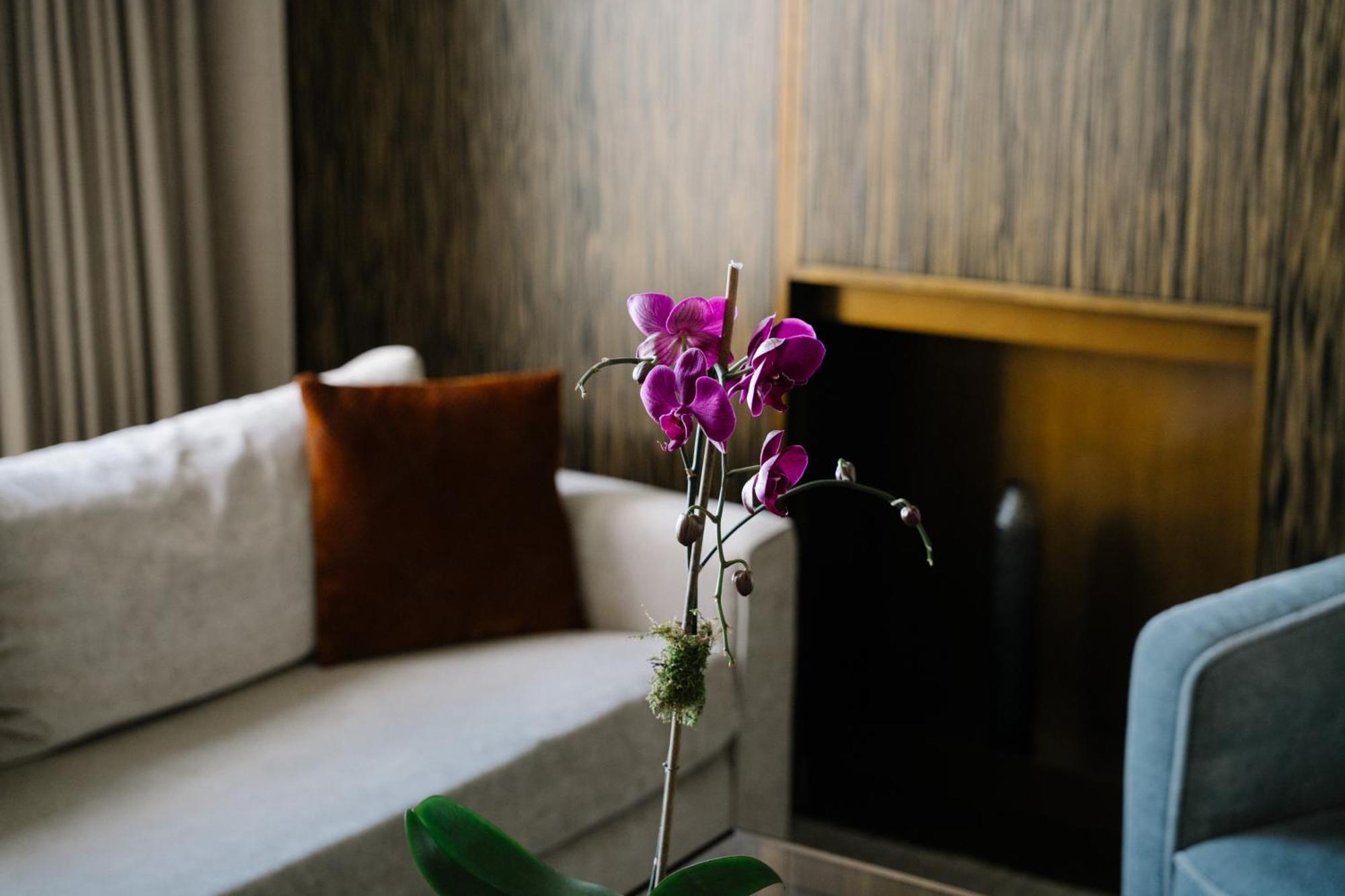 Hudson Square One-Bedroom Suite