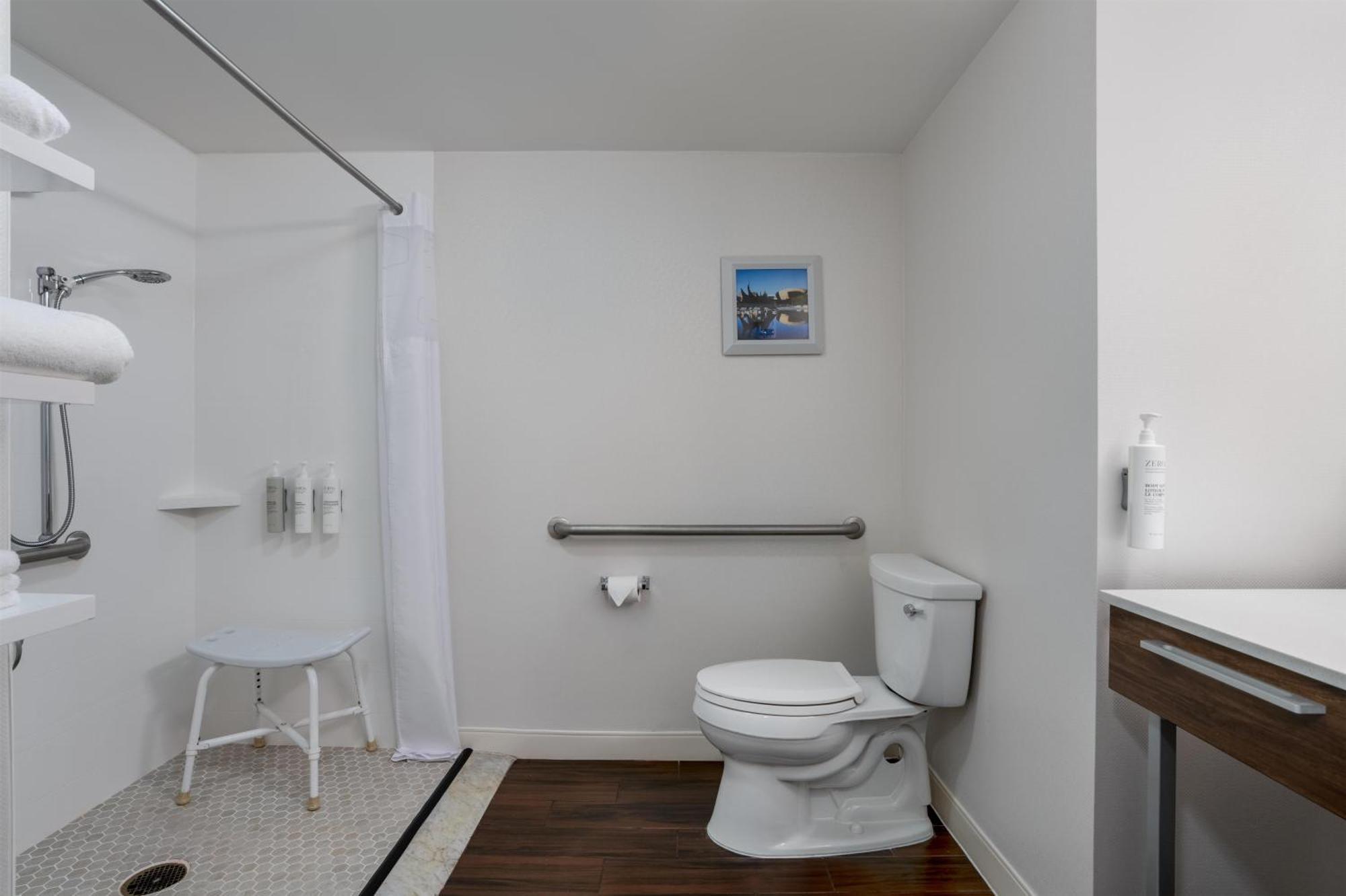 King Room Roll Shower Mobility Hearing Access or Non-Smoking