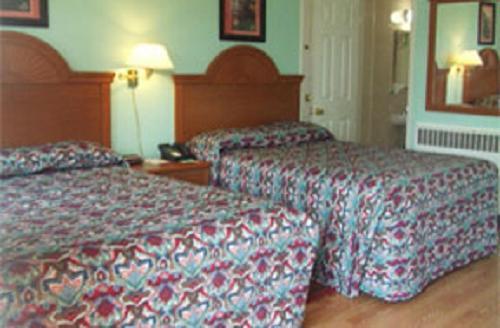 Double Room with Two Double Beds,685005534:JPEG