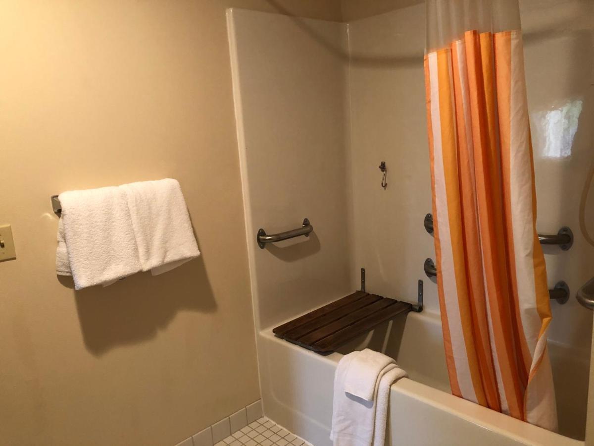 King Apartment with Forest View - Non-Smoking