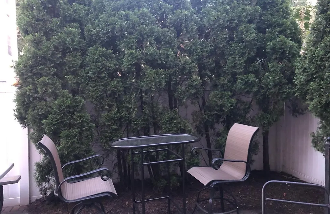 Brooklyn'S Finest - Cozy 2 Bedroom-1