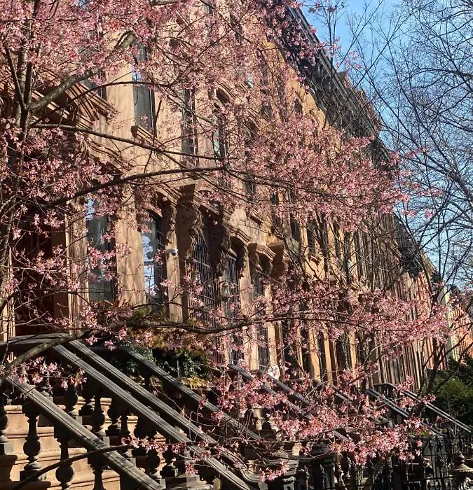 Clinton Hill Brownstone Stay-1