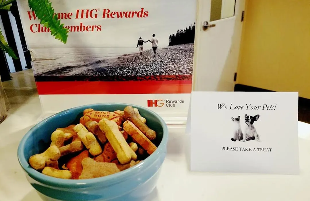 Candlewood Suites - East Syracuse - Carrier Circle By Ihg-1