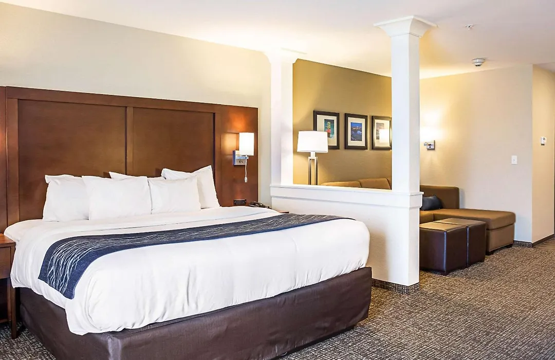 Comfort Inn & Suites Niagara Falls Blvd Usa-1