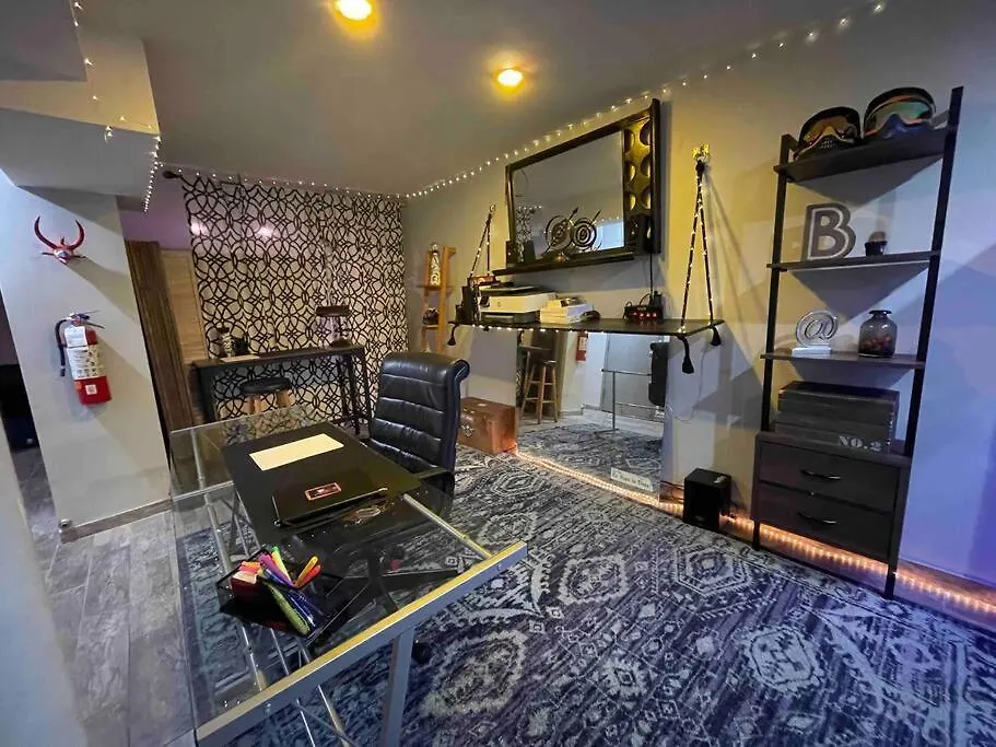 Artist Duplex-1
