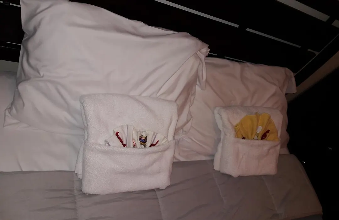 Studio And 1 Bedroom Apartments - Bronx-1