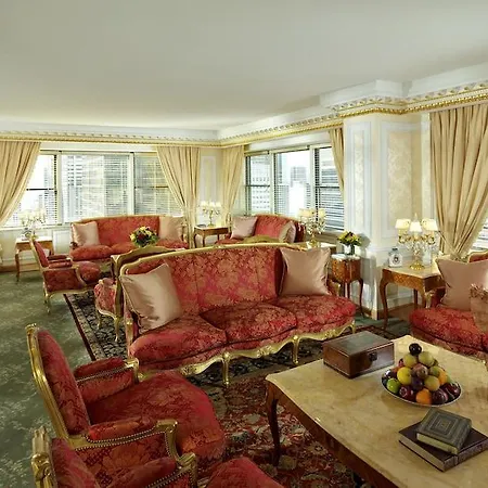 The Towers At Lotte New York Palace Hotel-3