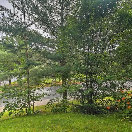 Lake Placid Gem W/ Patio & Views < 1 Mi To Beach!-2