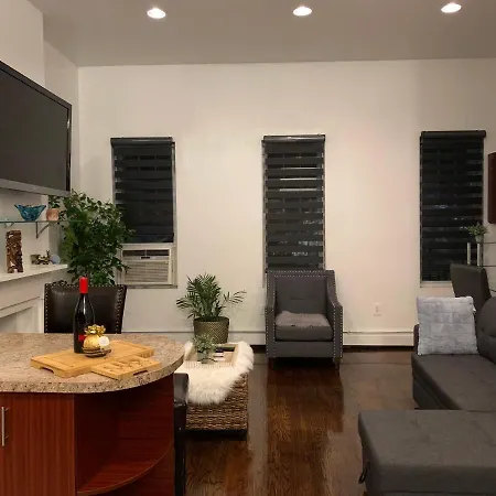 Charming Apartment In Bushwick-2