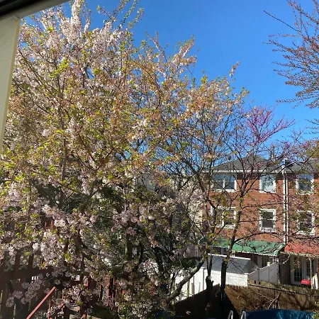 Peaceful, Sun Filled, Washer Dryer-3