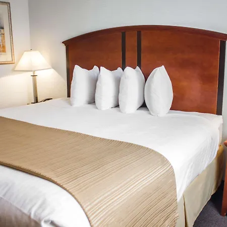 Quality Inn Long Island City - Queensboro Bridge-3