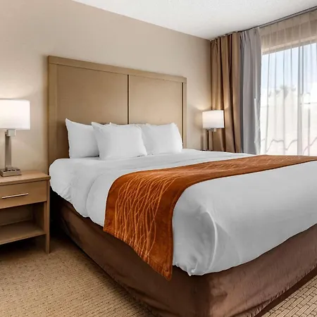 Comfort Inn & Suites Farmington - Victor-3