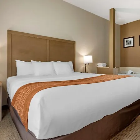 Comfort Inn & Suites Farmington - Victor-2