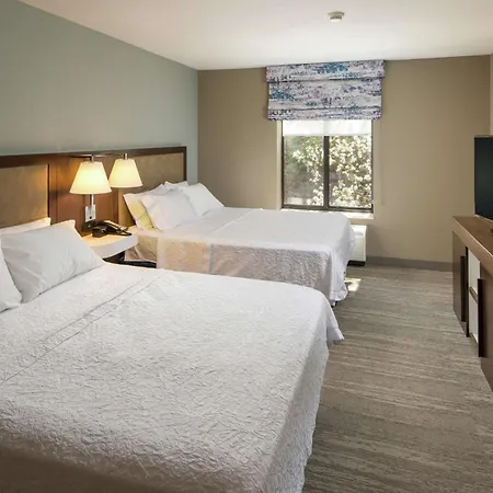 Hampton Inn & Suites Binghamton/Vestal-3