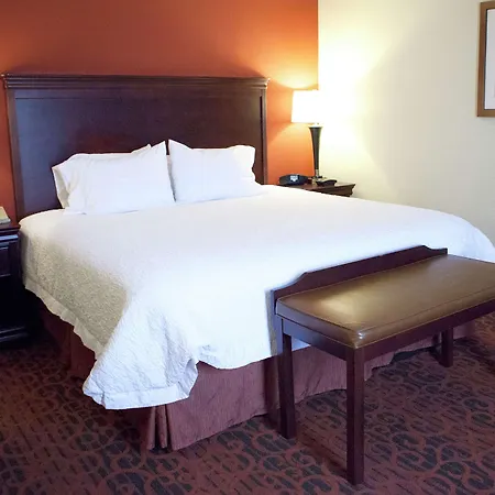 Hampton Inn Rochester-Webster-3