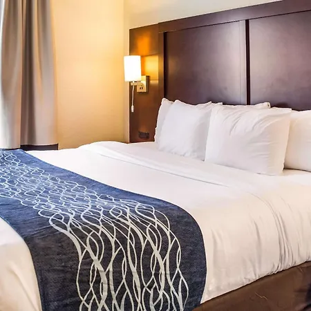 Comfort Inn & Suites Niagara Falls Blvd Usa-2