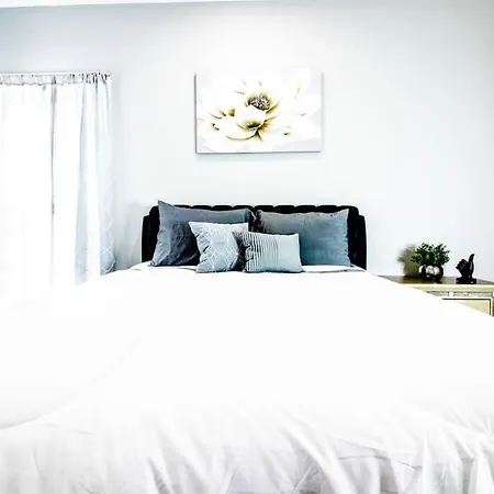 Modern 1 Bedroom Apartment-2