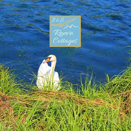 Premier Waterfront Cottage 1-2