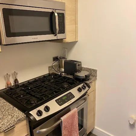Entire Luxury Stay Mins From Times Square-3