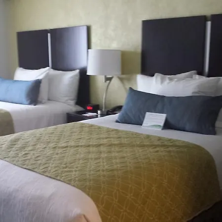 Best Western Plus Laguardia Airport Hotel-2