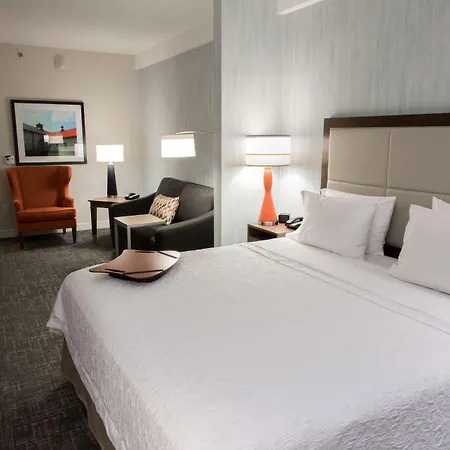 Hampton Inn Albany-Western Ave/University Area, Ny-2