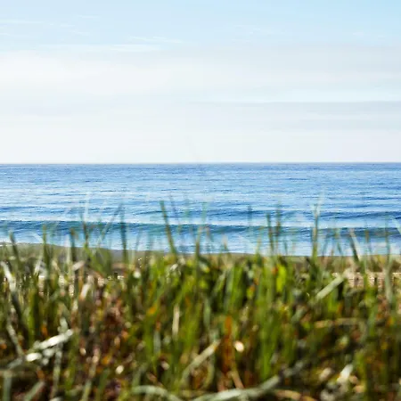 Marram-2