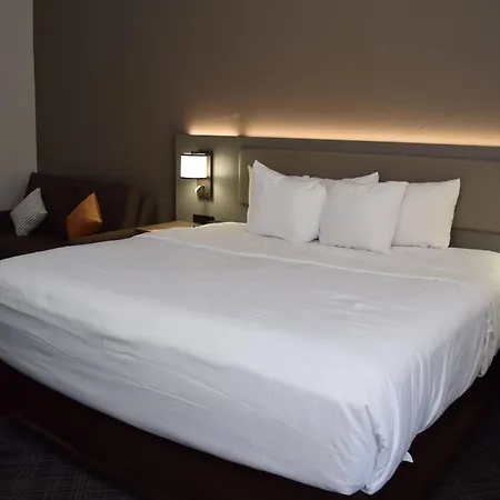 Comfort Inn & Suites Syracuse-Carrier Circle-2