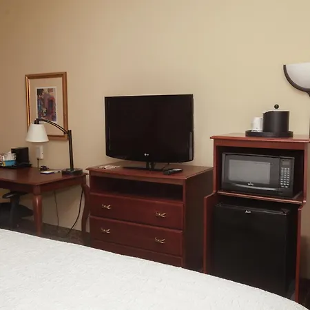 Hampton Inn Oneonta-3