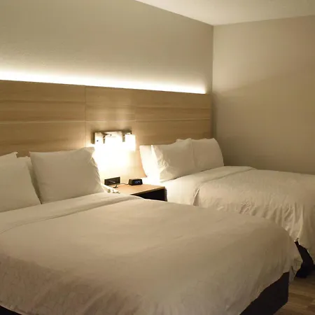 Holiday Inn Express Hotel & Suites Rochester Webster By Ihg-2