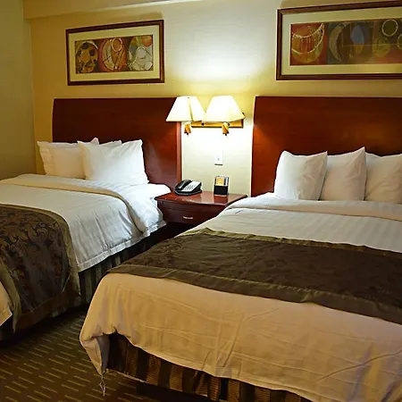 Wingate By Wyndham Manhattan Midtown-2