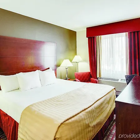 View Inn & Suites Jfk Airport-2