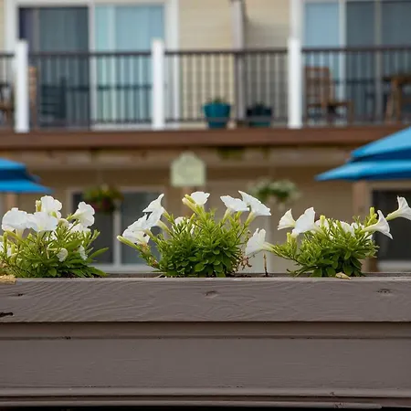 Aqualina Inn Montauk (Adults Only)-3