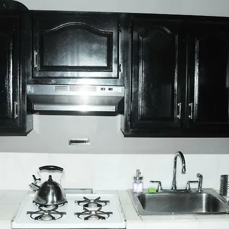 Plush Spacious 1 Bedroom Apt Williamsburg-3