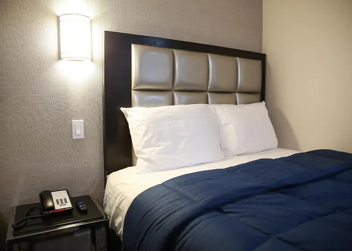 Vybe Hotel New York che accetta animali