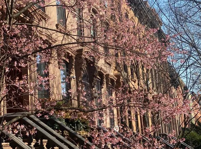 Haustierfreundliches Clinton Hill Brownstone Stay New York