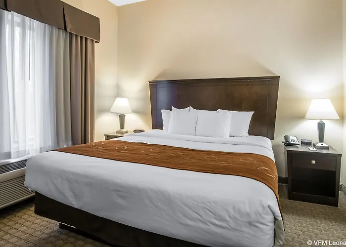 Comfort Suites Vestal Near University
