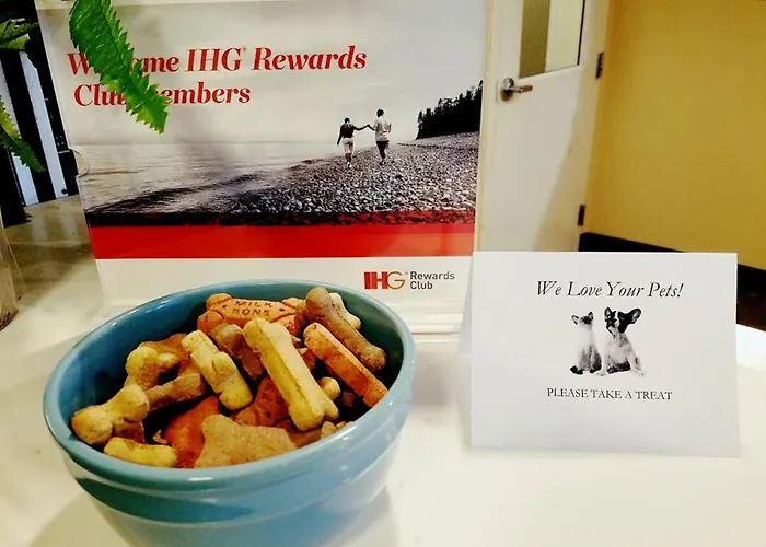 Pet friendly Candlewood Suites - East Syracuse - Carrier Circle By Ihg