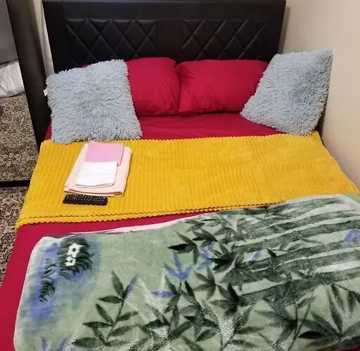 Cozy & All Private Space Close To Rumc & Siuh New York che accetta animali