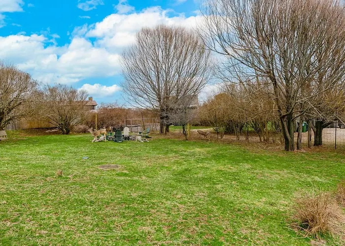 Pet friendly Don'T Ditch Your Plains Montauk