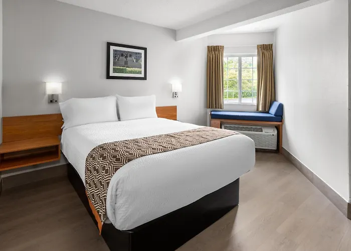 Pet friendly Microtel Inn By Wyndham - Albany Airport Latham