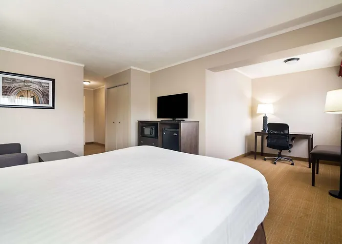 Best Western University Inn Canton